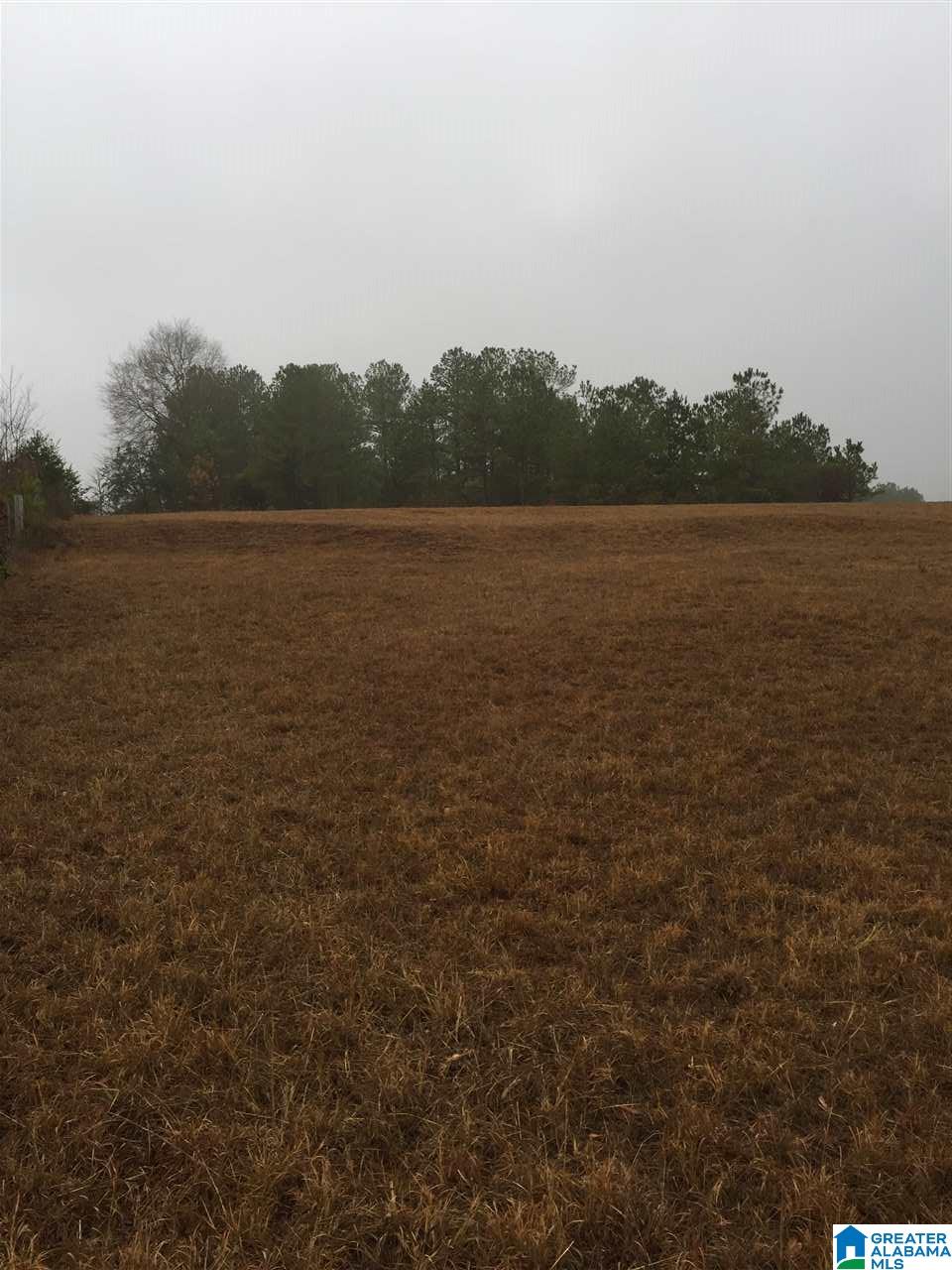 0 Hollingsworth Road Jacksonville, AL 36265 - Photo 5 of 7