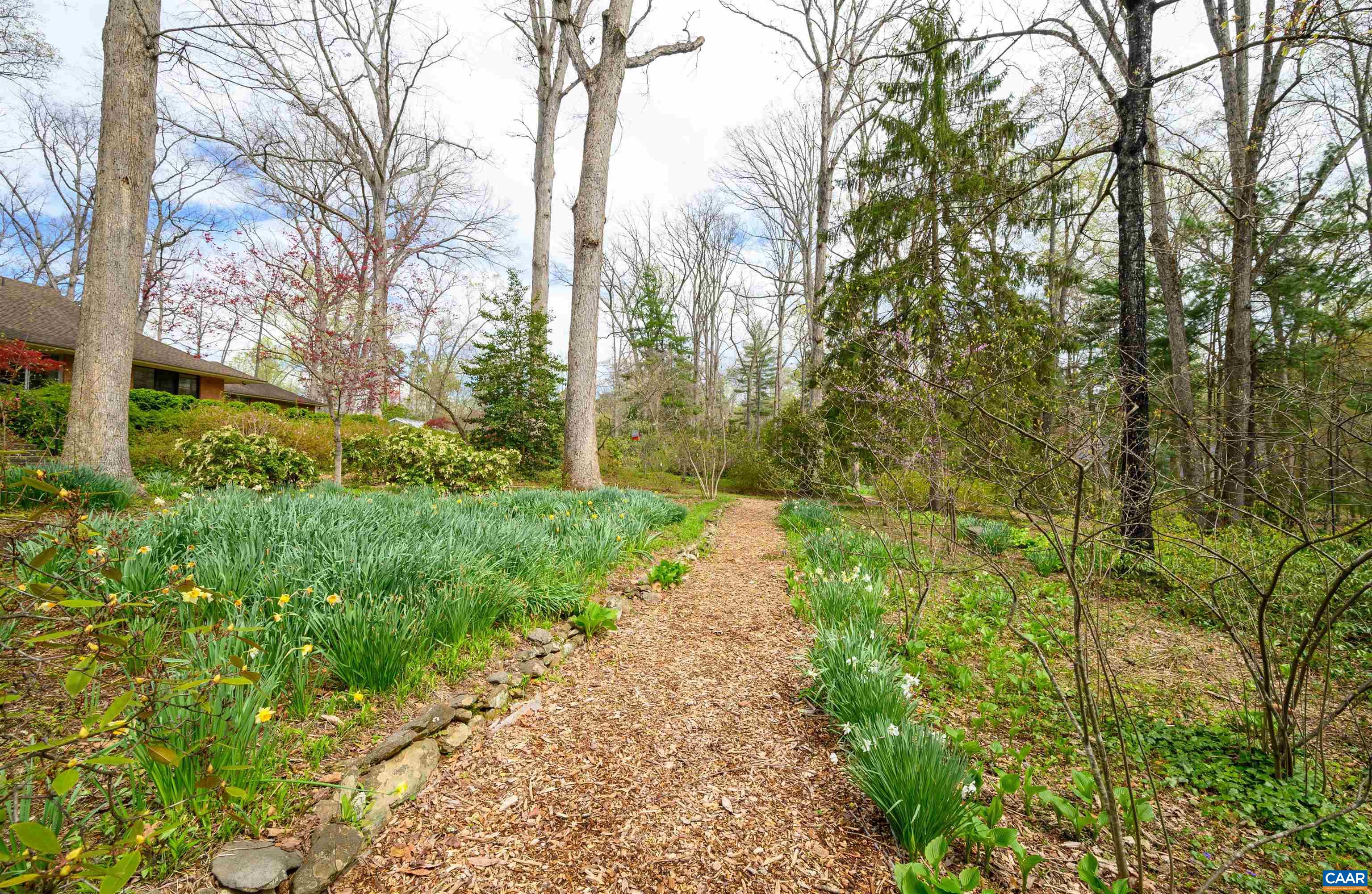 275 Terrell Road West Charlottesville, VA 22901 - Photo 50 of 68 a view of a pathway with a yard