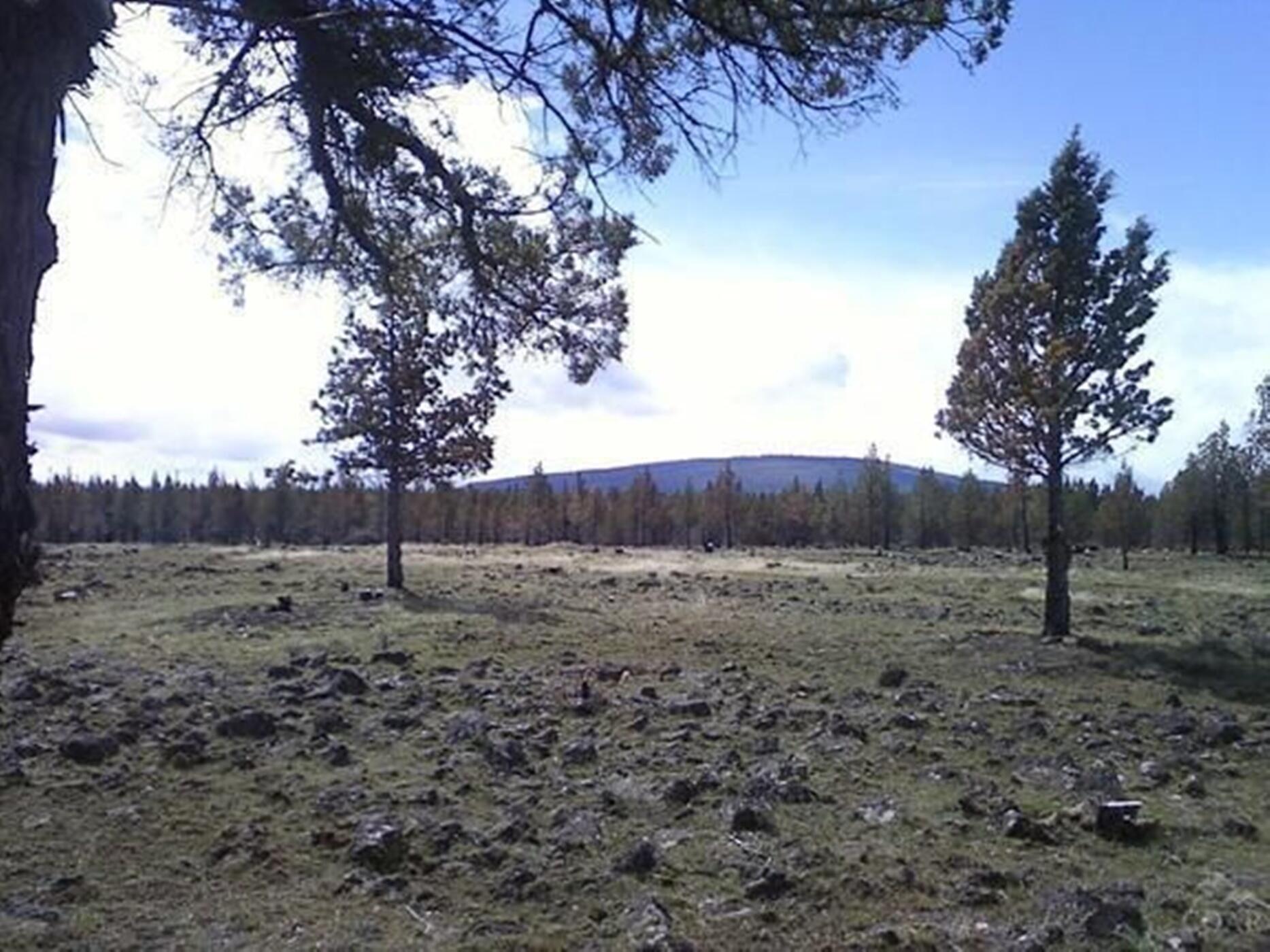 12853 Southwest Graham Road Culver, OR 97734 - Photo 1 of 10 12969Graham001