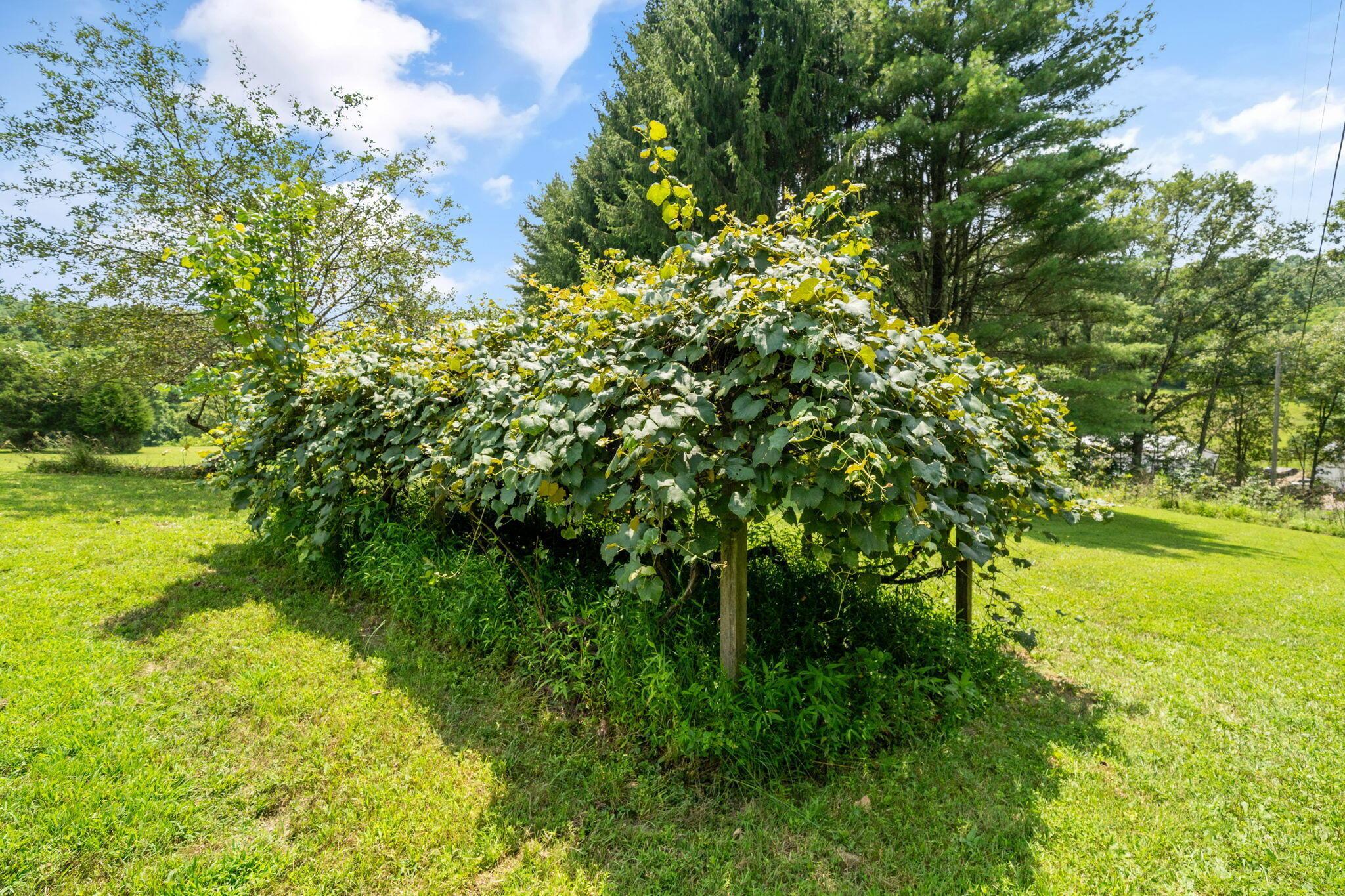 9168 Bremen Road Logan, OH 43138 - Photo 62 of 83 Land