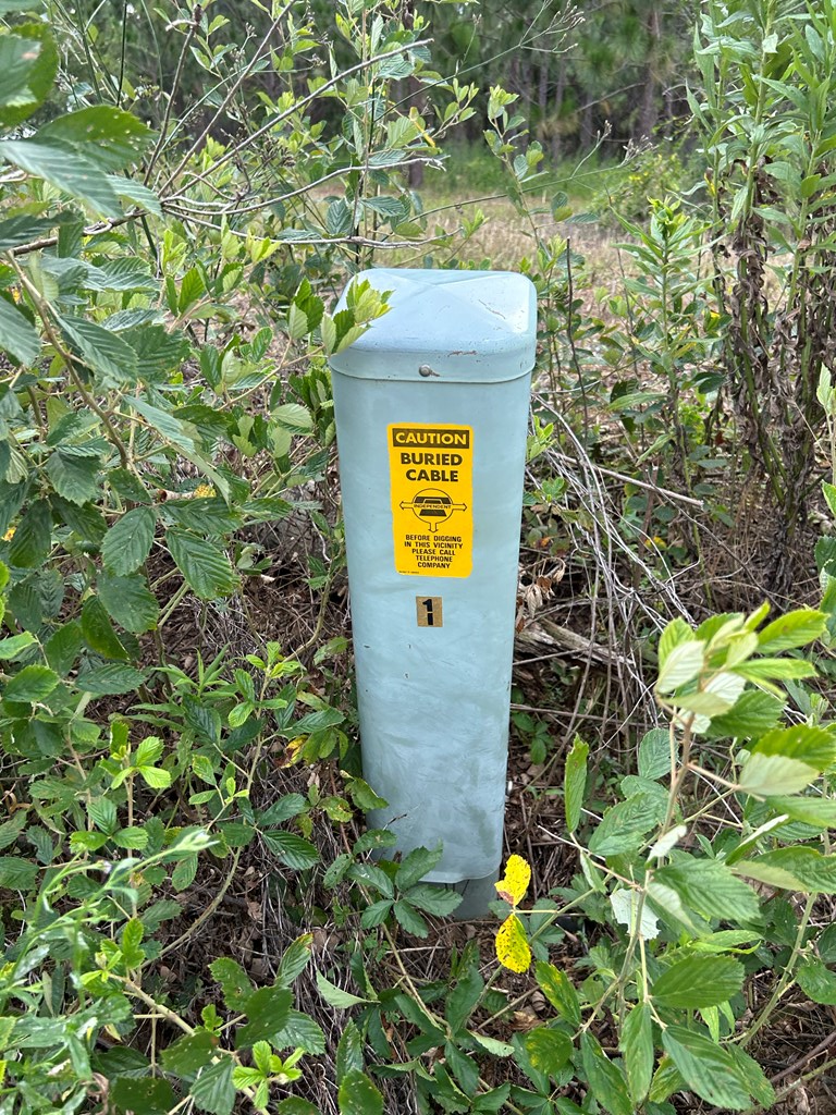 75/ Nuclear Plant Road Columbia, AL 36319 - Photo 14 of 34