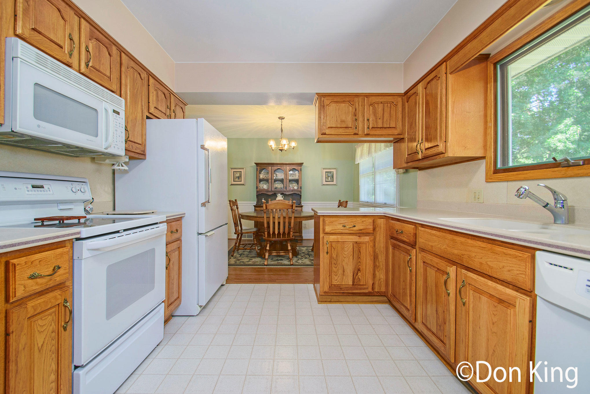 8181 Youngman Road Greenville, MI 48838 - Photo 8 of 38 DSC_1516