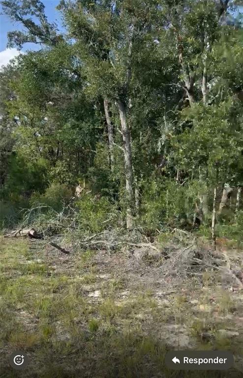 Northeast 97th Court Bronson, FL 32621 - Photo 3 of 3 a view of a yard with a tree