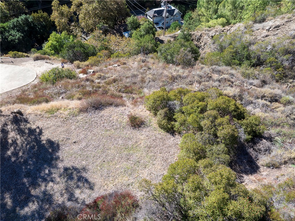 0 Silverado Canyon Road Silverado, CA 92676 - Photo 11 of 30 a view of a yard with plants and tree