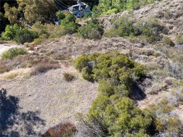 a view of a dry yard with trees