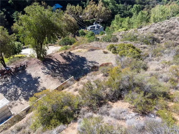 a view of a dry yard