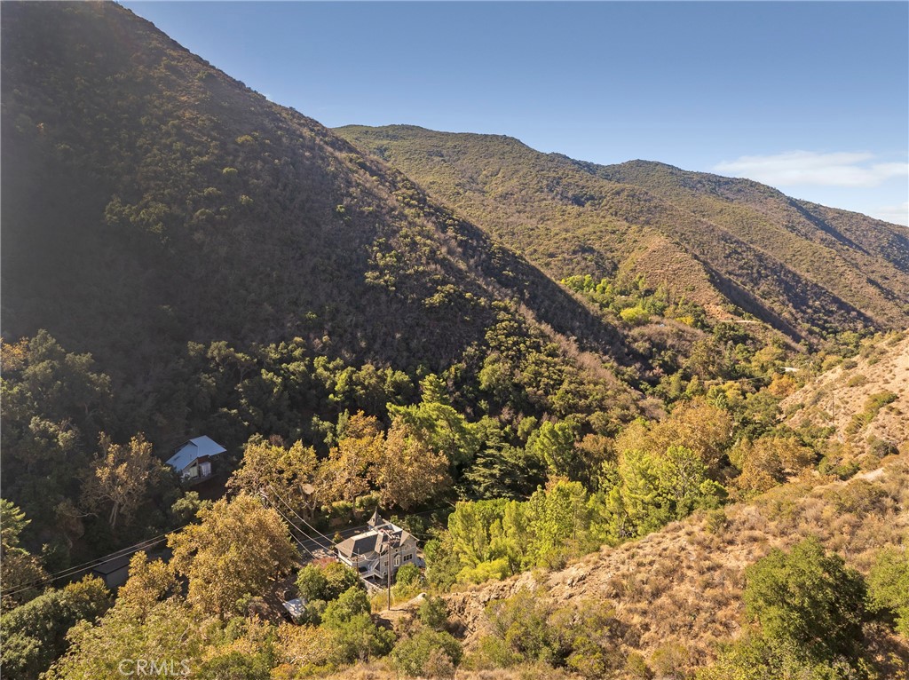 0 Silverado Canyon Road Silverado, CA 92676 - Photo 20 of 30 a view of mountain with a tree