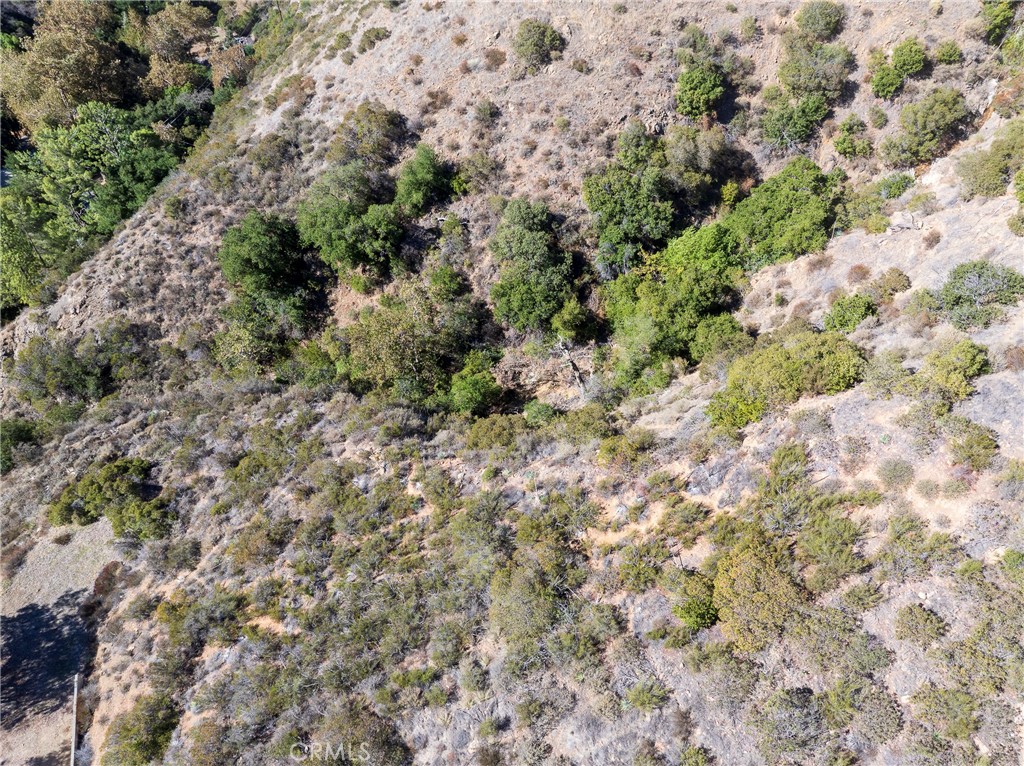 0 Silverado Canyon Road Silverado, CA 92676 - Photo 21 of 30 a view of a forest with a tree
