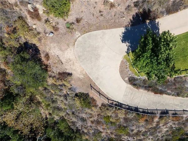 a view of a dry yard with lots of trees