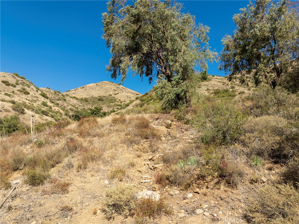 0 Silverado Canyon Road Silverado, CA 92676 - Photo 25 of 30 a view of a dry yard with trees