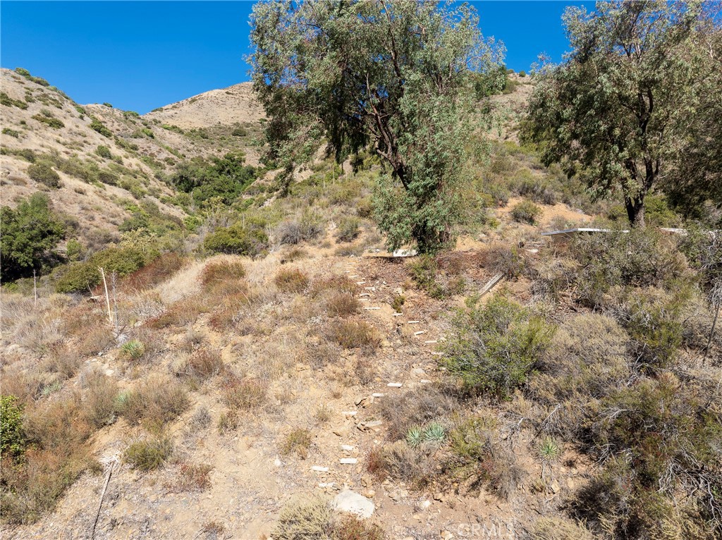 0 Silverado Canyon Road Silverado, CA 92676 - Photo 26 of 30 a view of a dry yard with lots of trees