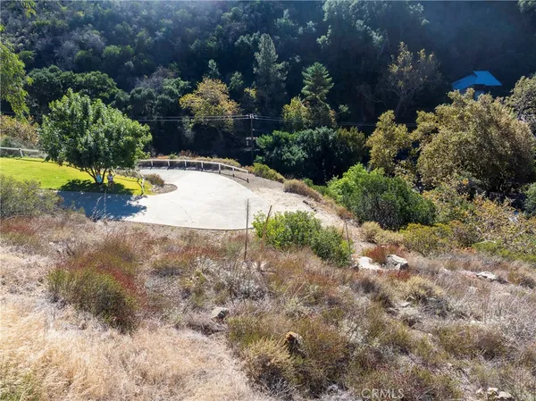 a view of a dry yard with plants and large trees