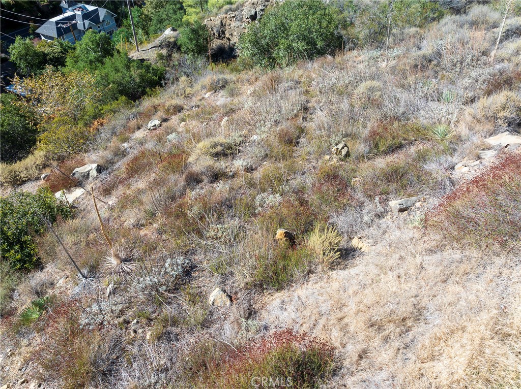 0 Silverado Canyon Road Silverado, CA 92676 - Photo 7 of 30 a view of a dry yard with plants and large trees