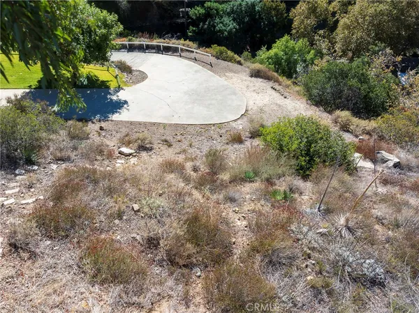 a view of a dry yard with lots of bushes and trees all around