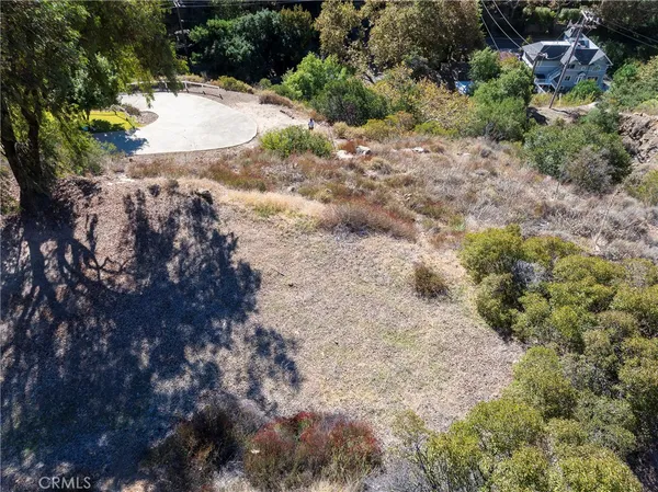 a view of a yard with plants and tree