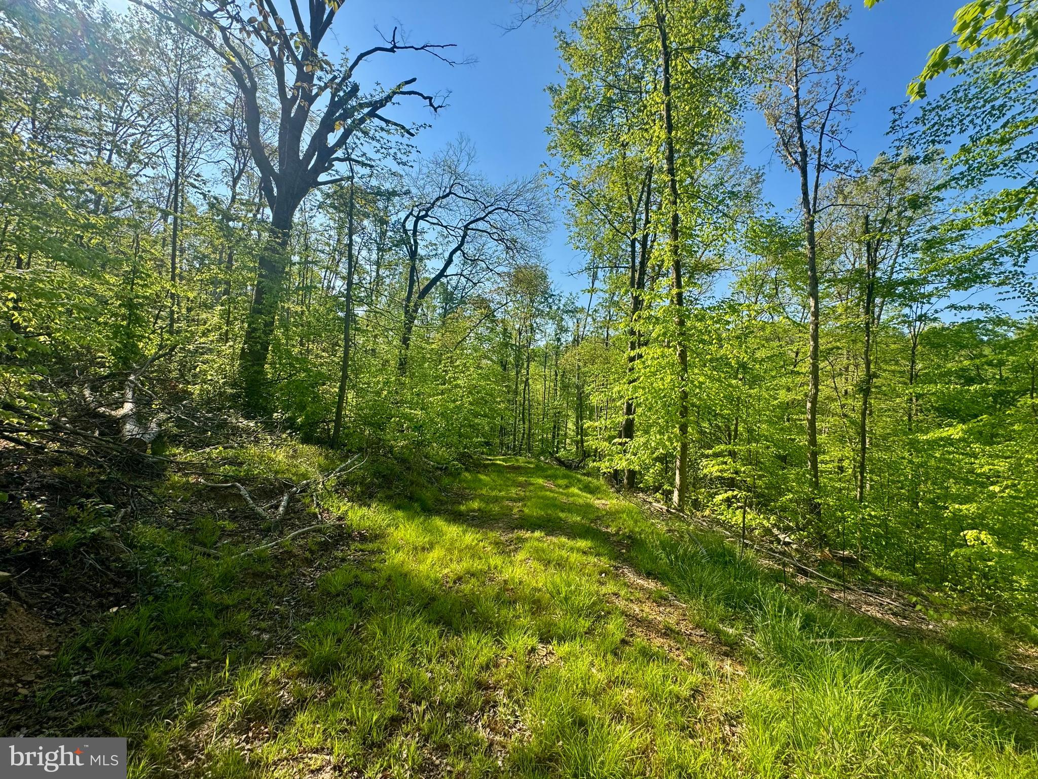 Tract B John Orr Road Independence, WV 26374 - Photo 15 of 30
