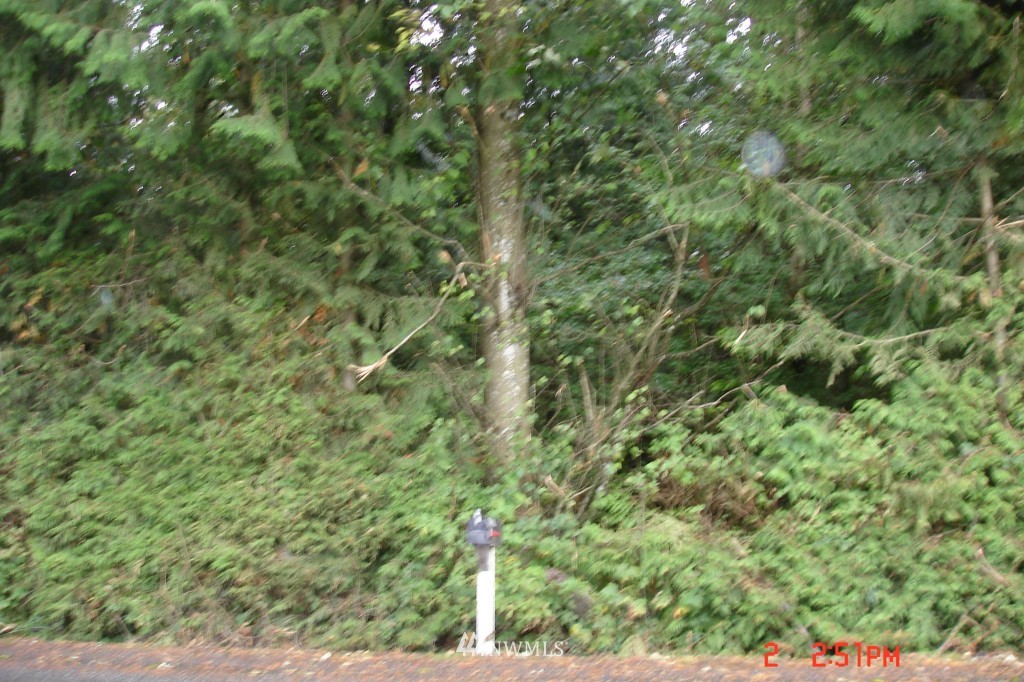 -nhn Grip Road Sedro-Woolley, WA 98284 - Photo 1 of 1 Gallery Image 1