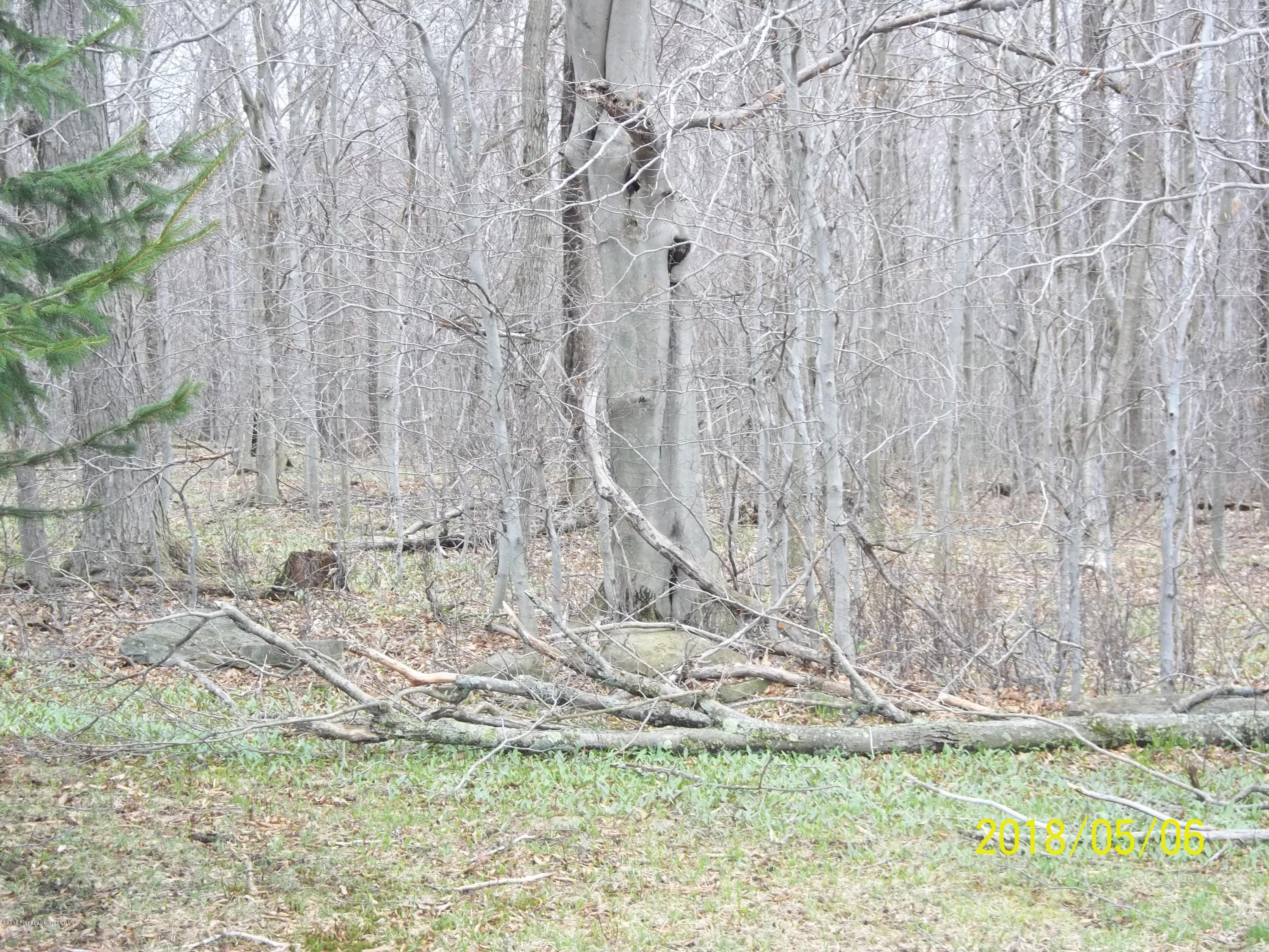 198 Cemetery Road Union Dale, PA 18470 - Photo 17 of 41 Gallery Image 17
