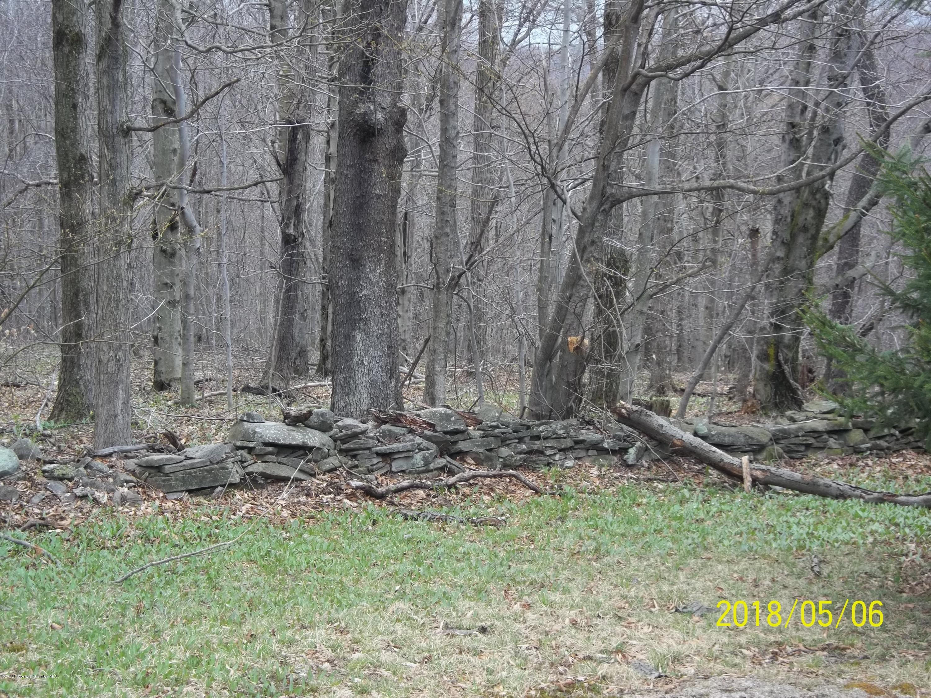 198 Cemetery Road Union Dale, PA 18470 - Photo 26 of 41 Gallery Image 26