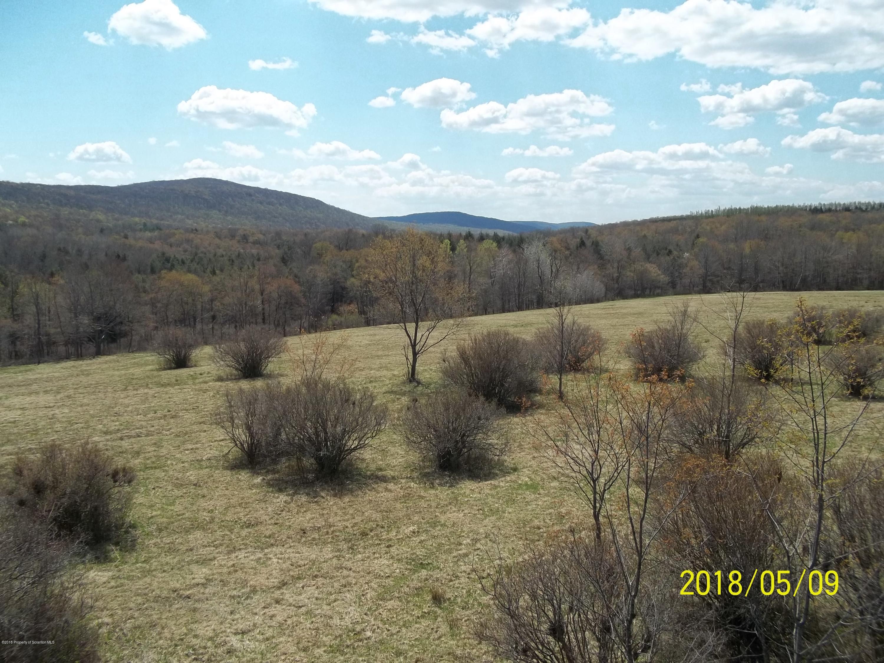198 Cemetery Road Union Dale, PA 18470 - Photo 34 of 41 Gallery Image 34