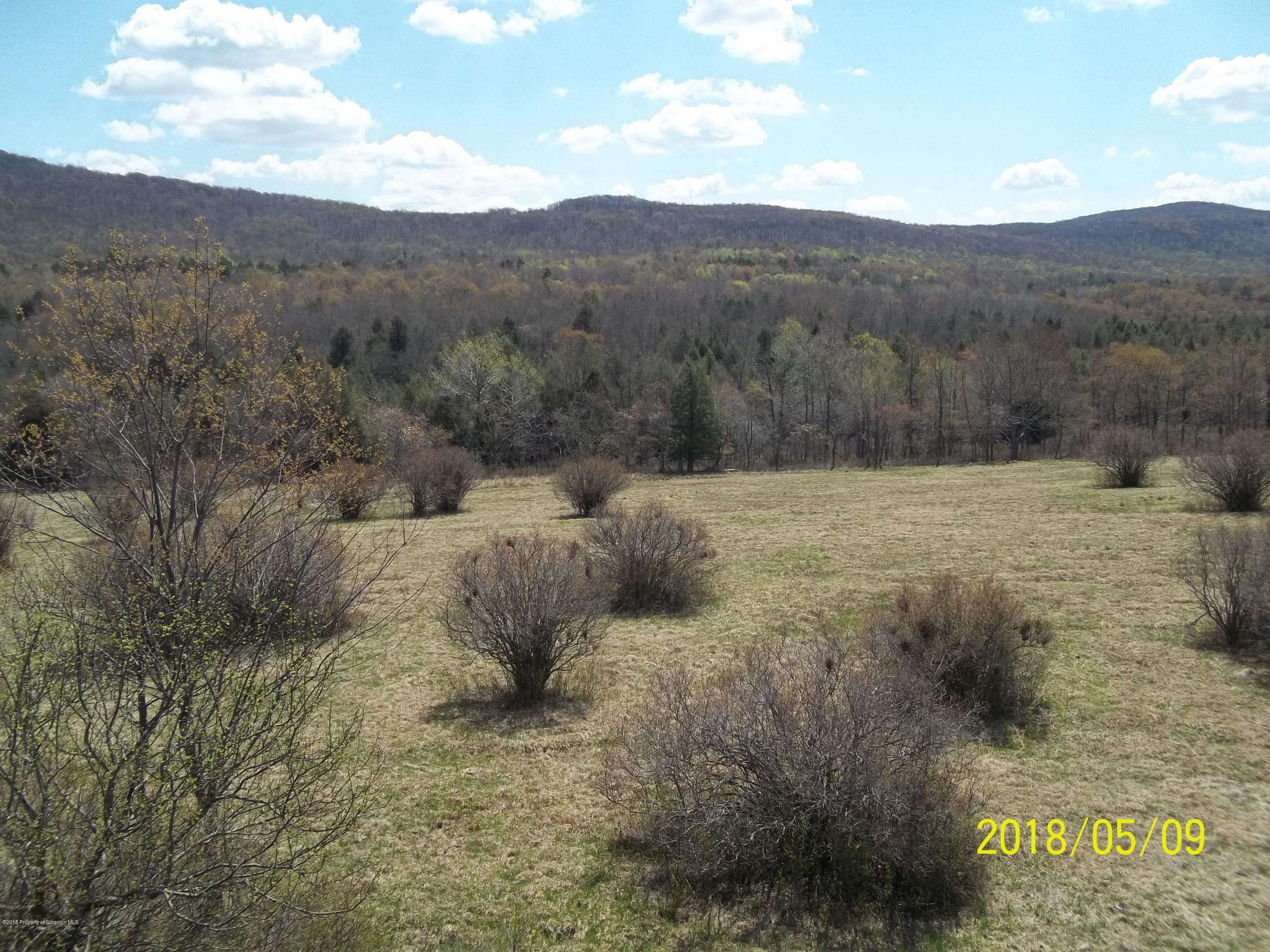 198 Cemetery Road Union Dale, PA 18470 - Photo 35 of 41 Gallery Image 35