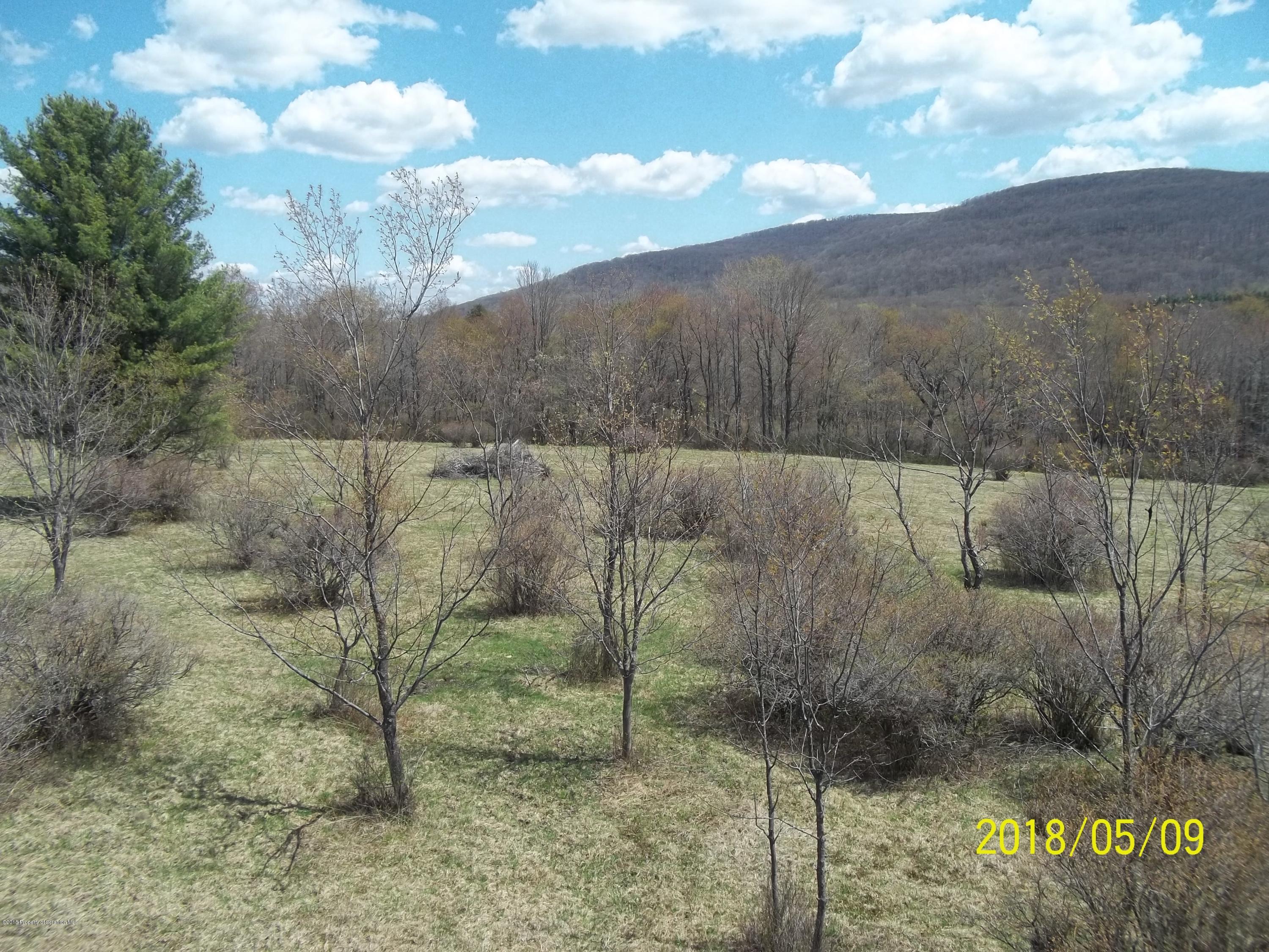 198 Cemetery Road Union Dale, PA 18470 - Photo 37 of 41 Gallery Image 37