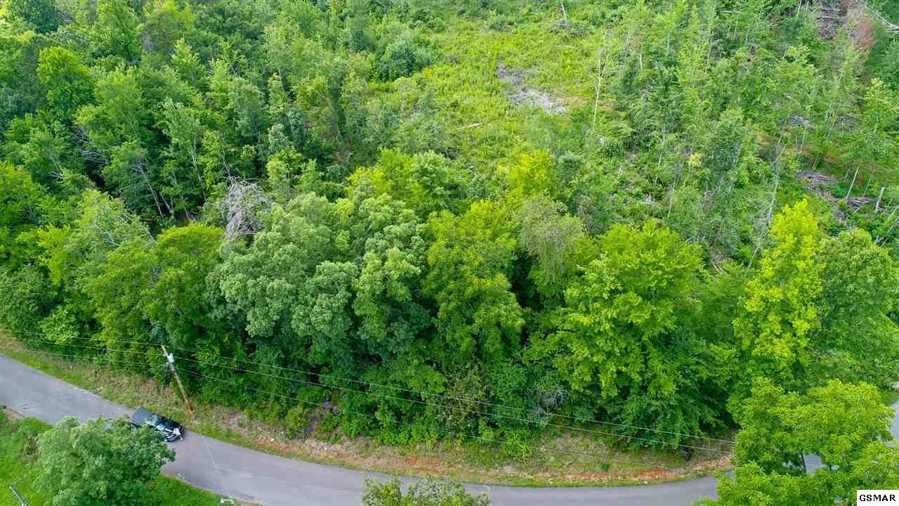 1 Tomahawk Ridge Road Cosby, TN 37722 - Photo 8 of 17 Gallery Image 8