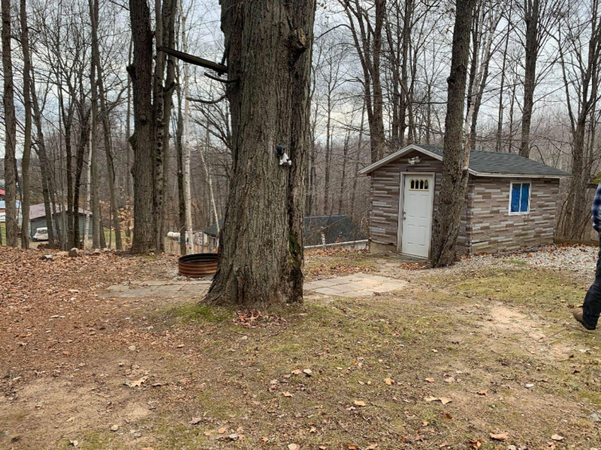 7235 19 Mile Road Barryton, MI 49305 - Photo 7 of 40 128881483_1144665305936055_2989055684873