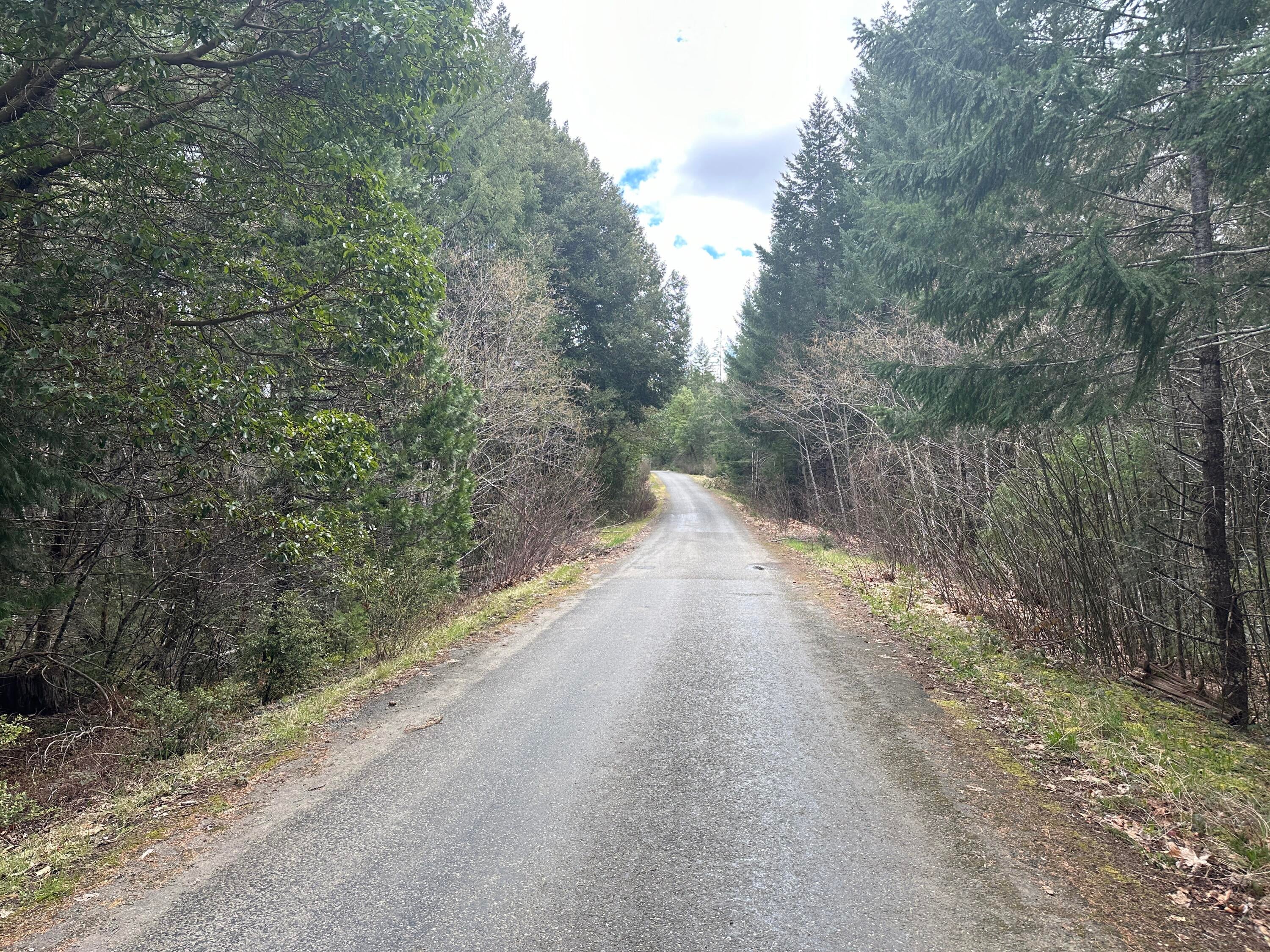 T39-sse18 Caves Camp Road Williams, OR 97544 - Photo 12 of 18 IMG_5094