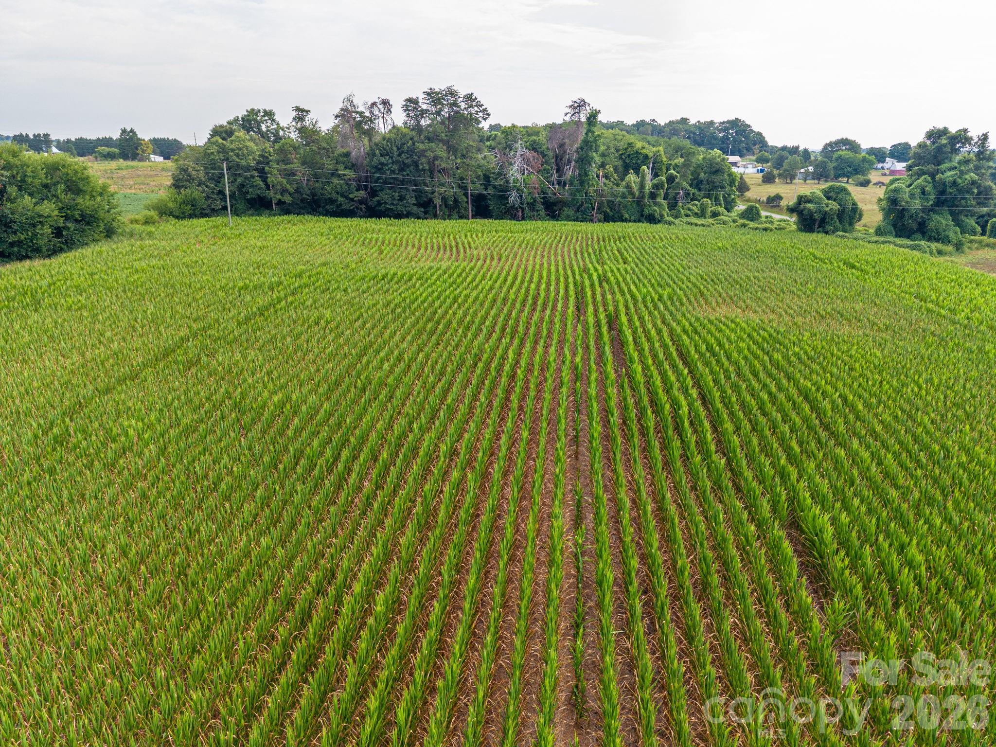 0 Frank Cline Road Vale, NC 28168 - Photo 8 of 17