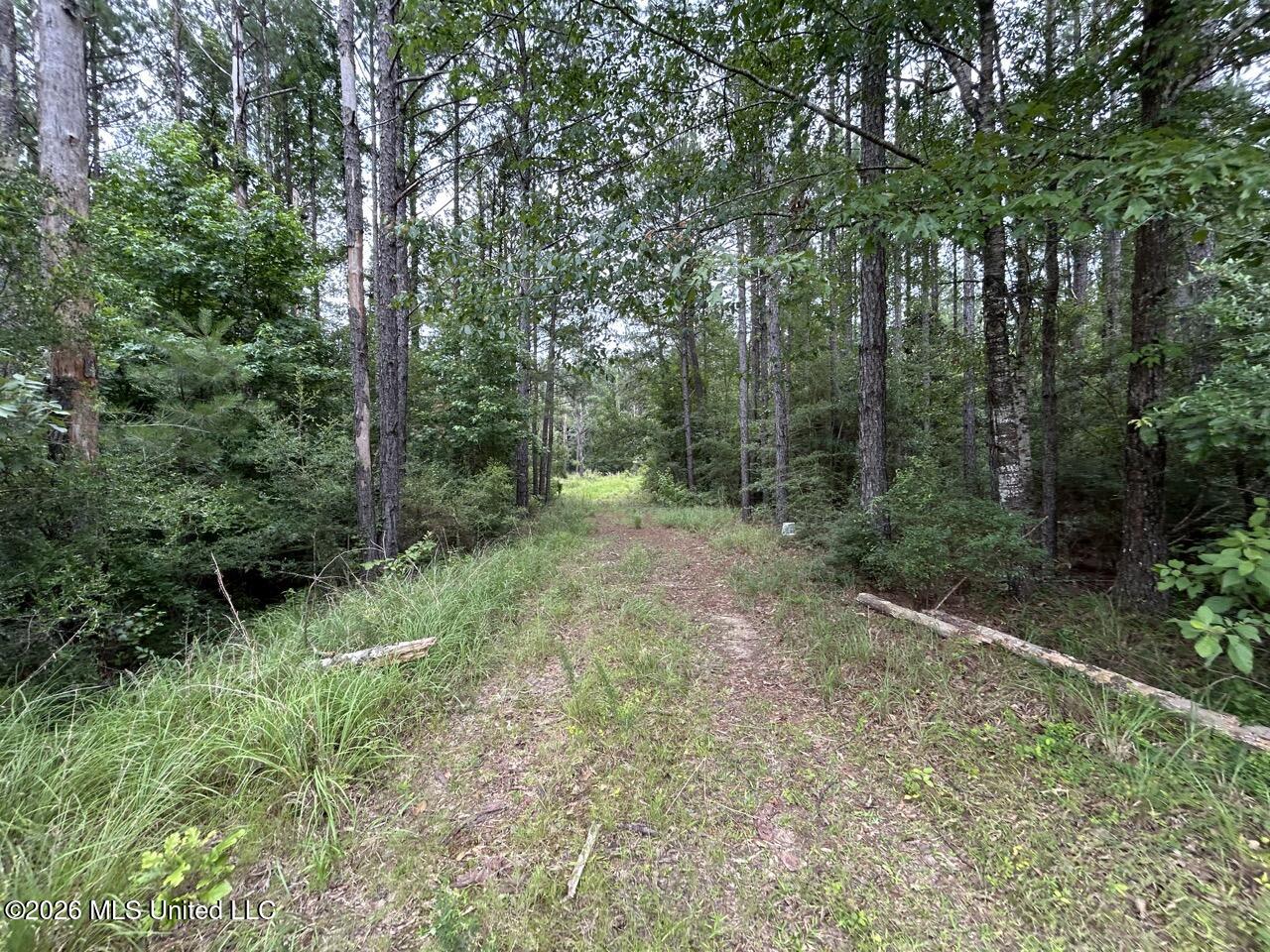 2684 Ms 33 Crosby, MS 39633 - Photo 16 of 18 IMG_4572 Large