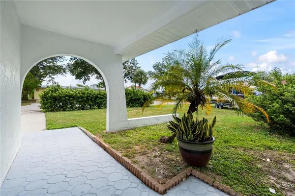 a view of a garden with plants