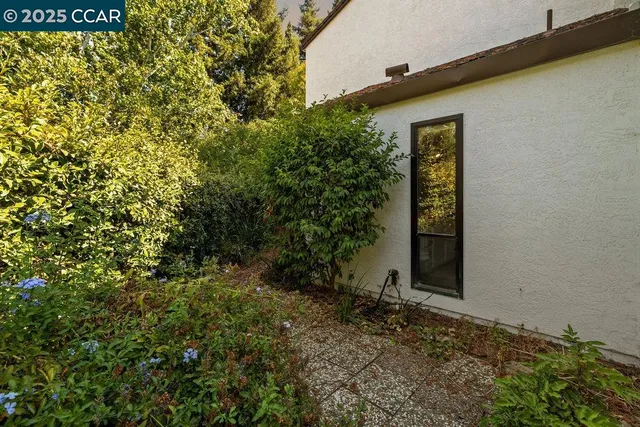 a view of a yard with plants and a tree