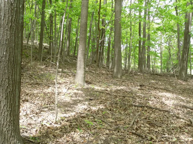 $525,000 | South Lakeshore Drive, Unit 26, Ludington, MI 49431