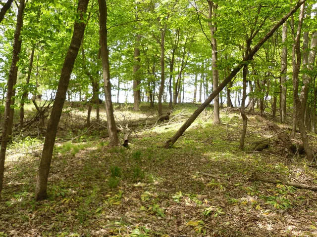 $525,000 | South Lakeshore Drive, Unit 26, Ludington, MI 49431