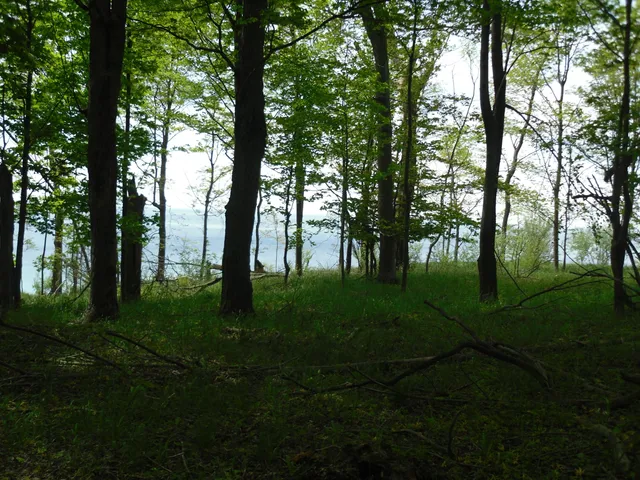 $525,000 | South Lakeshore Drive, Unit 26, Ludington, MI 49431