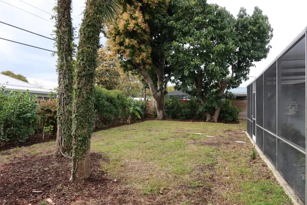 a view of a yard with large trees