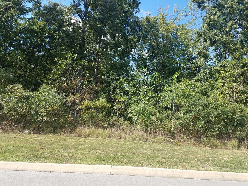 Lot 134 Tumbleweed Trail, Unit 134 Rutledge, TN 37861 - Photo 11 of 28 Photo 11