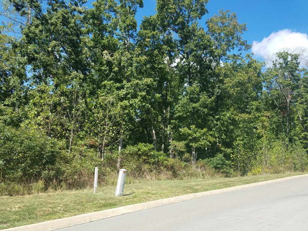Lot 134 Tumbleweed Trail, Unit 134 Rutledge, TN 37861 - Photo 12 of 28 Photo 12