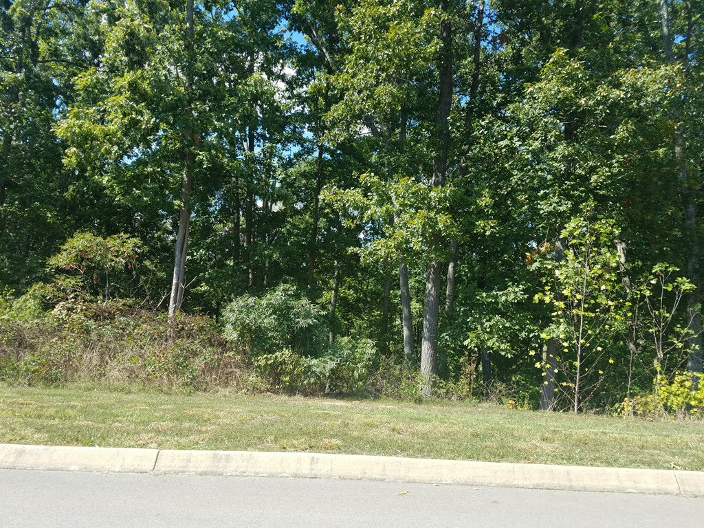 Lot 134 Tumbleweed Trail, Unit 134 Rutledge, TN 37861 - Photo 13 of 28 Photo 13