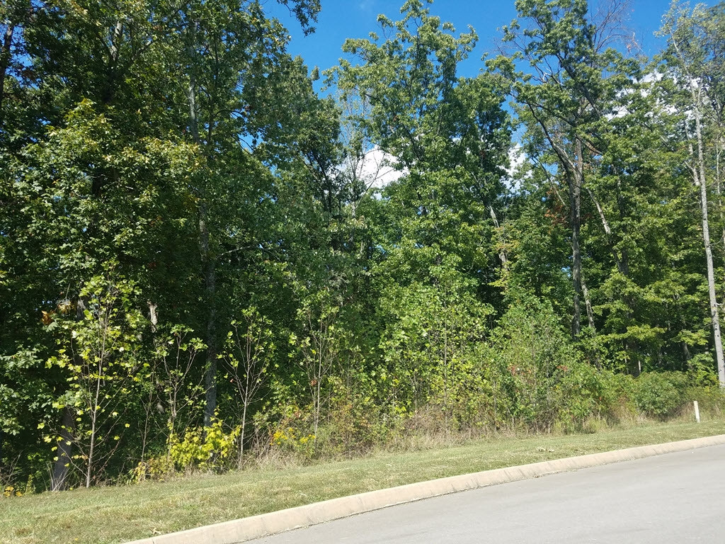 Lot 134 Tumbleweed Trail, Unit 134 Rutledge, TN 37861 - Photo 14 of 28 Photo 14