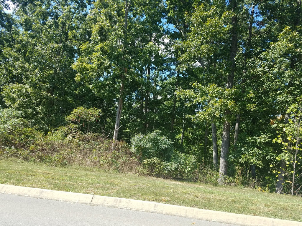 Lot 134 Tumbleweed Trail, Unit 134 Rutledge, TN 37861 - Photo 15 of 28 Photo 15
