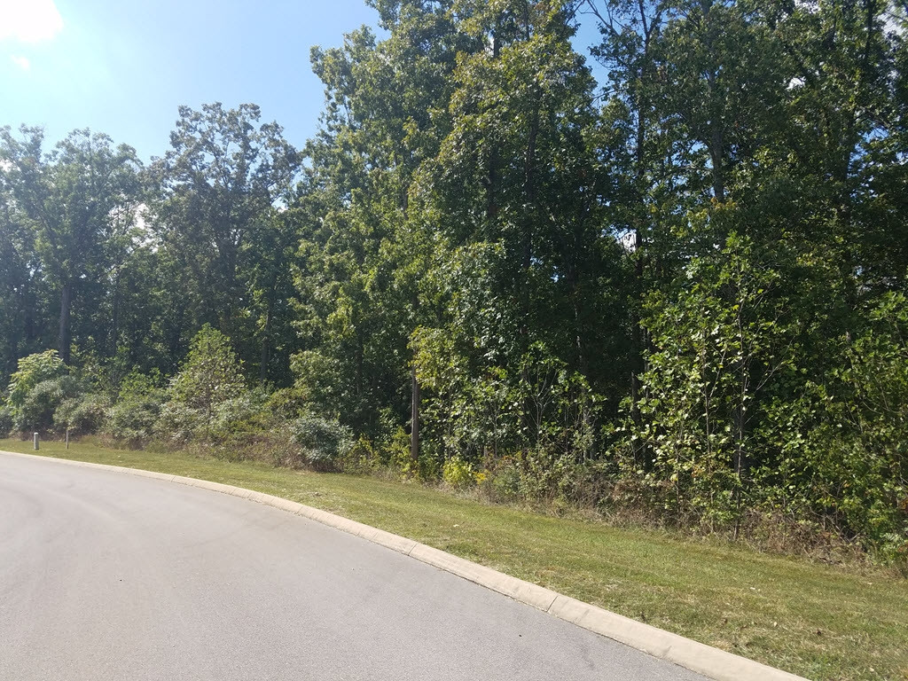 Lot 134 Tumbleweed Trail, Unit 134 Rutledge, TN 37861 - Photo 16 of 28 Photo 16