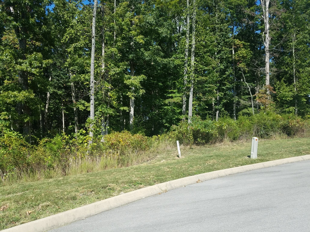 Lot 134 Tumbleweed Trail, Unit 134 Rutledge, TN 37861 - Photo 18 of 28 Photo 18