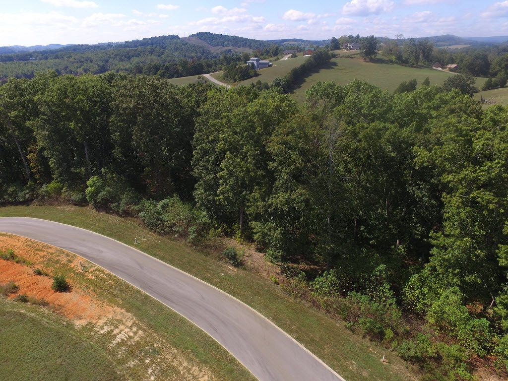 Lot 134 Tumbleweed Trail, Unit 134 Rutledge, TN 37861 - Photo 19 of 28 Photo 19