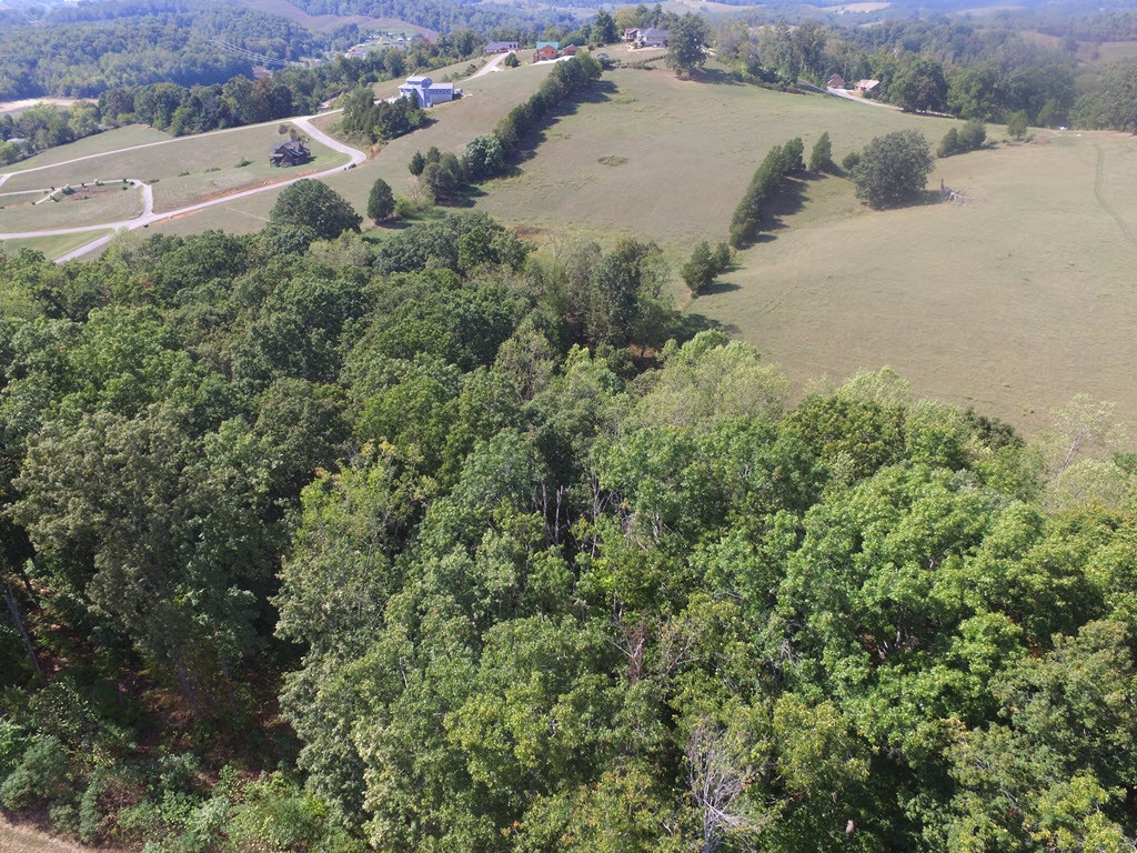 Lot 134 Tumbleweed Trail, Unit 134 Rutledge, TN 37861 - Photo 25 of 28 Photo 25