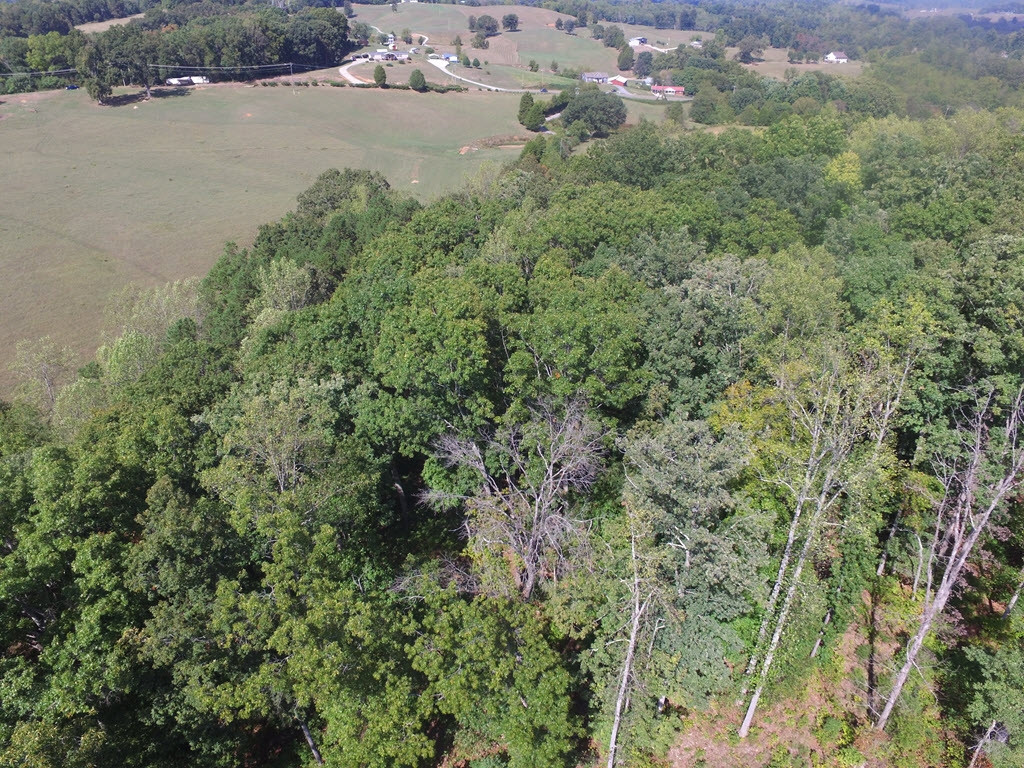 Lot 134 Tumbleweed Trail, Unit 134 Rutledge, TN 37861 - Photo 26 of 28 Photo 26