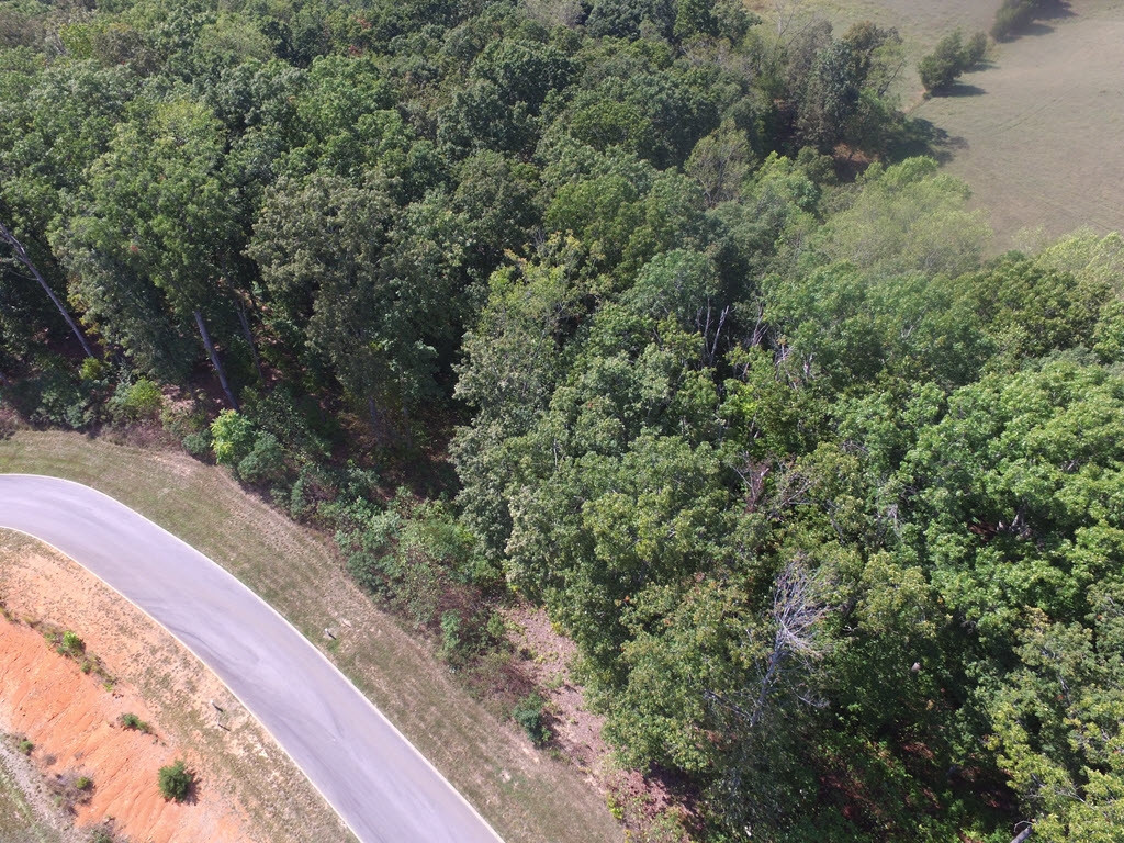 Lot 134 Tumbleweed Trail, Unit 134 Rutledge, TN 37861 - Photo 28 of 28 Photo 28