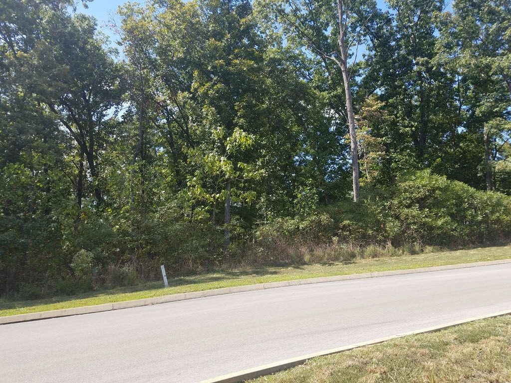 Lot 134 Tumbleweed Trail, Unit 134 Rutledge, TN 37861 - Photo 5 of 28 Photo 5