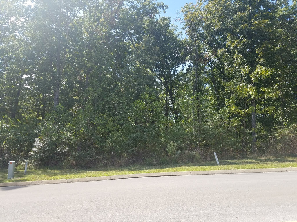 Lot 134 Tumbleweed Trail, Unit 134 Rutledge, TN 37861 - Photo 6 of 28 Photo 6